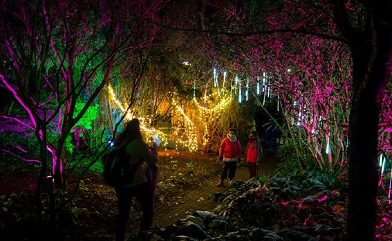 Leioa convertirá el parque de Pinosolo en «un bosque de deseos» | El Correo